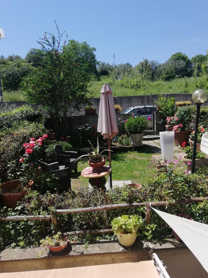 Appartamento Orchidea 몬테메라노 외부 사진