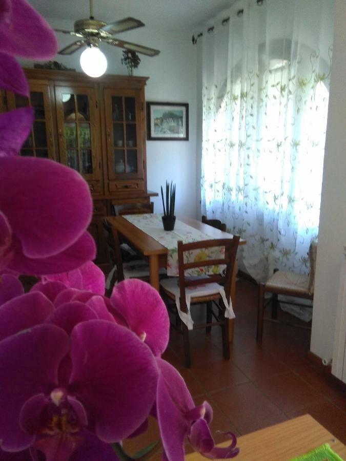 Appartamento Orchidea 몬테메라노 외부 사진